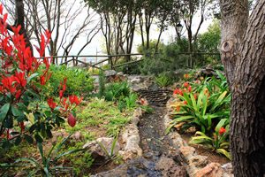 Jardin surs la muraille